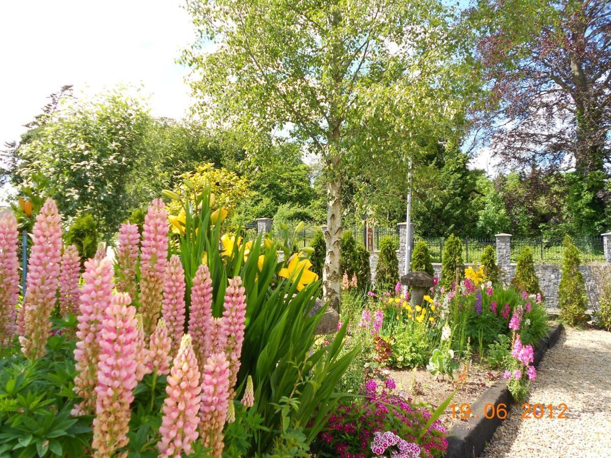 The Yellow House B&B Navan Exterior photo