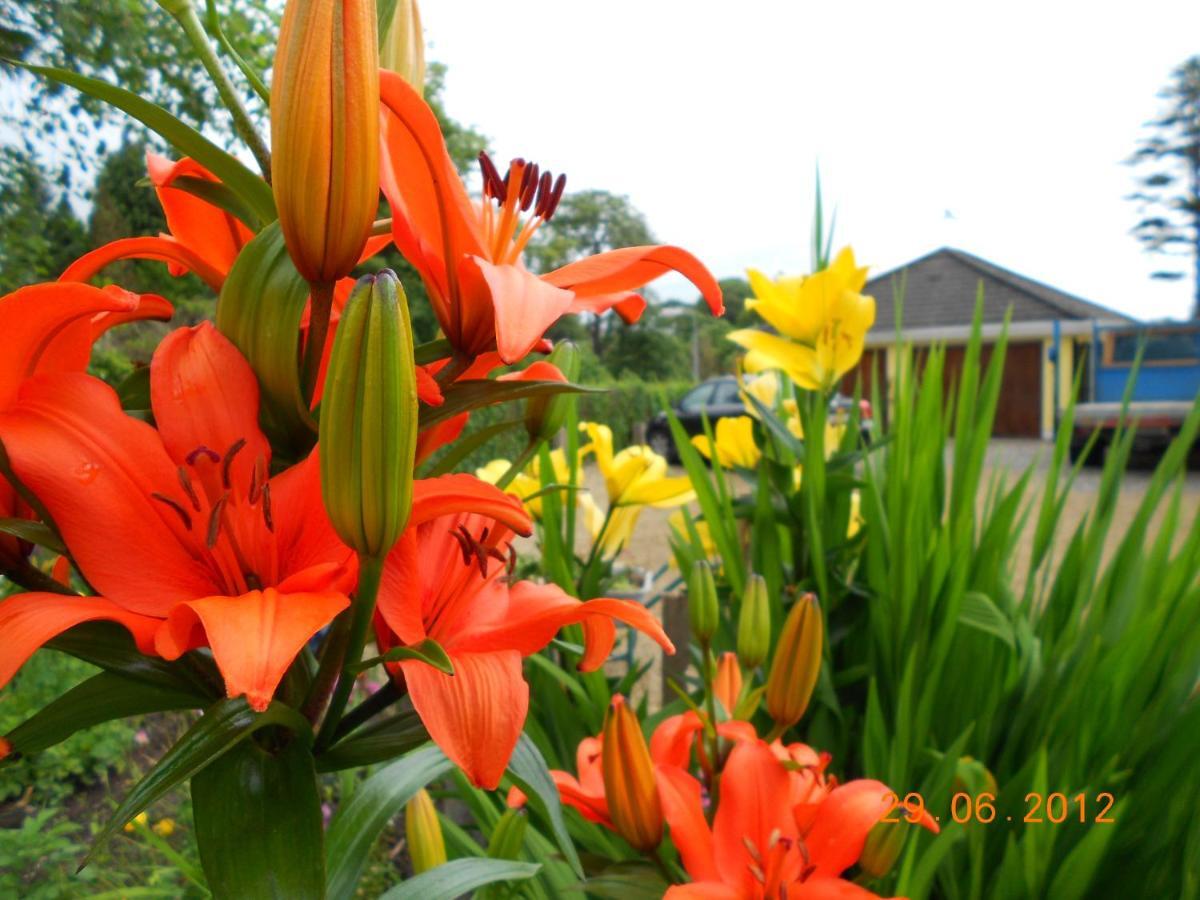 The Yellow House B&B Navan Exterior photo